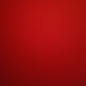 Meet your Posher, Shane